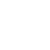Icon für den Fahrzeugservice der Autoverwertung Bendler in Lüneburg